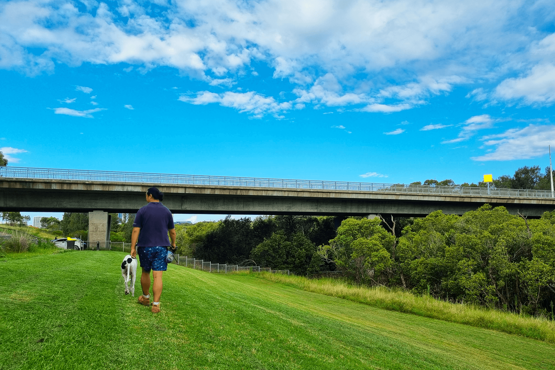 Person with dog on grass in front of a beam bridge and many trees.