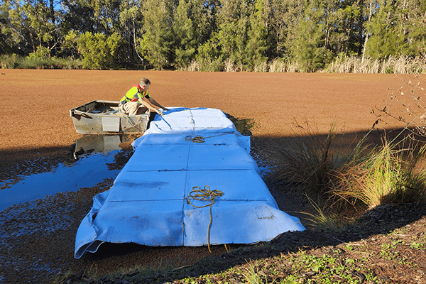 Worker on boat installing 8 square metre artificial roost on water