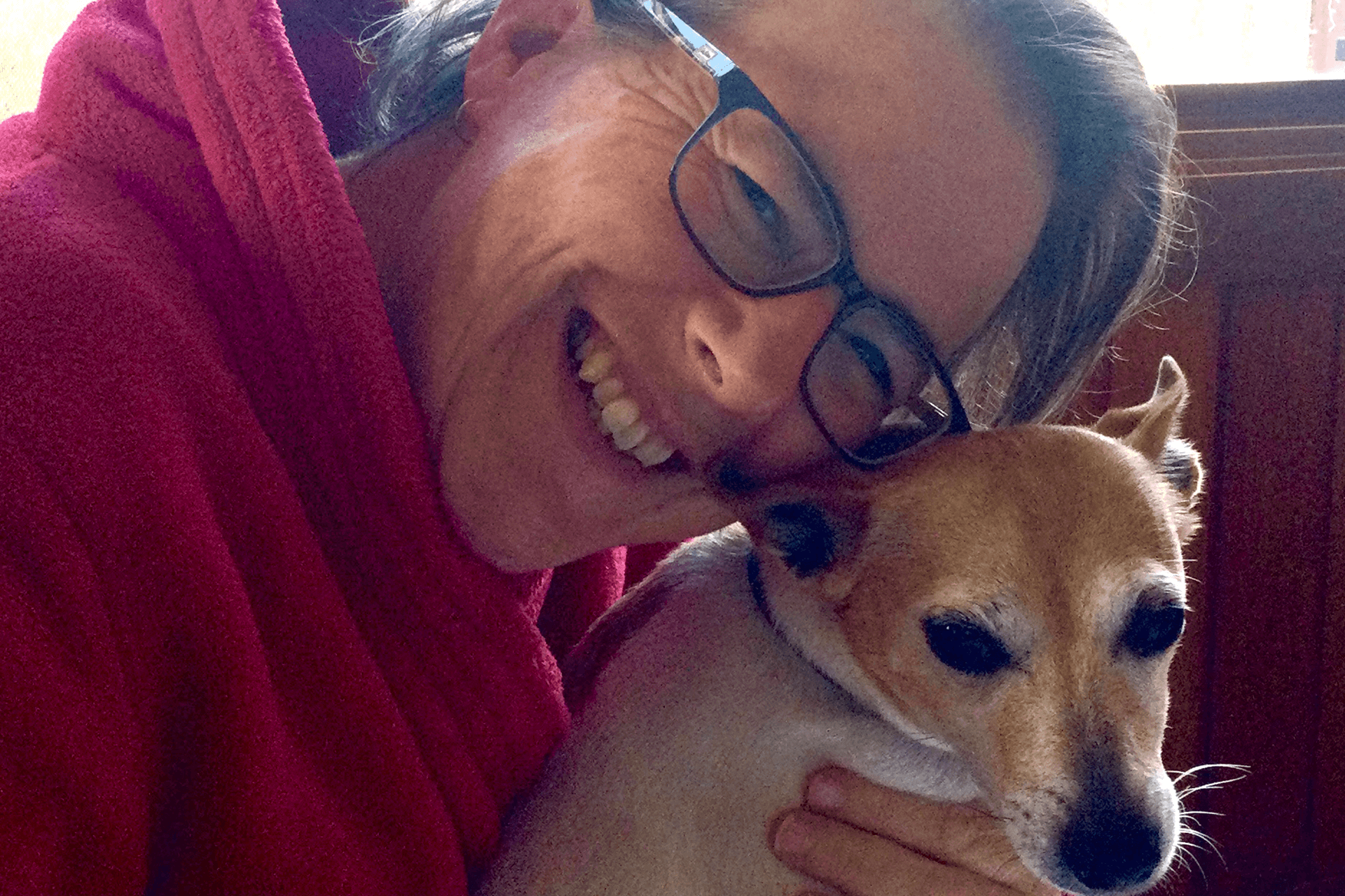 Close-up of Jack Russell terrier Dixie with their human Eva.