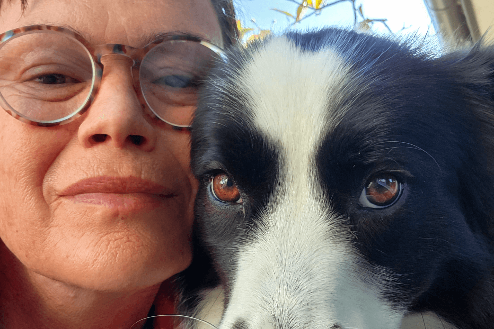 Close-up of Border Collie 'Bear' with their human Jen.