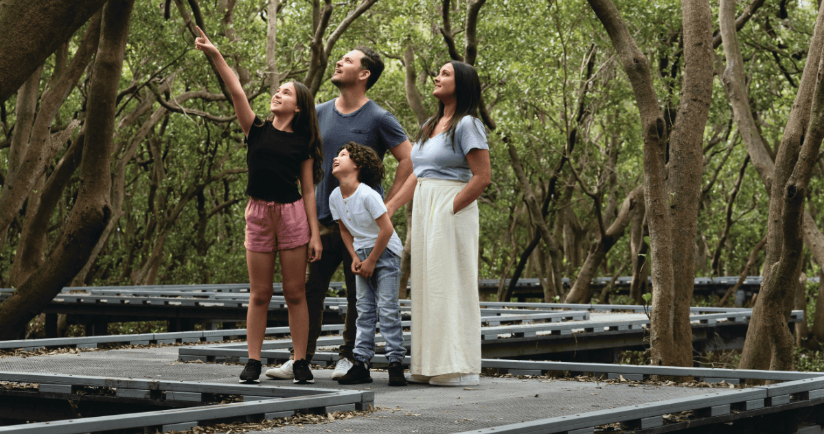 Badu Mangroves Walk 2024