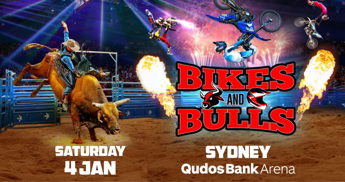 Bikes & Bulls