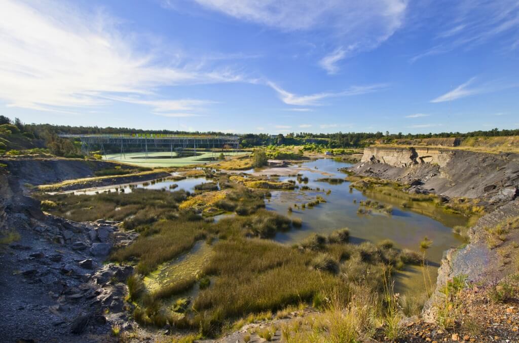 Sydney Olympic Park Wetlands