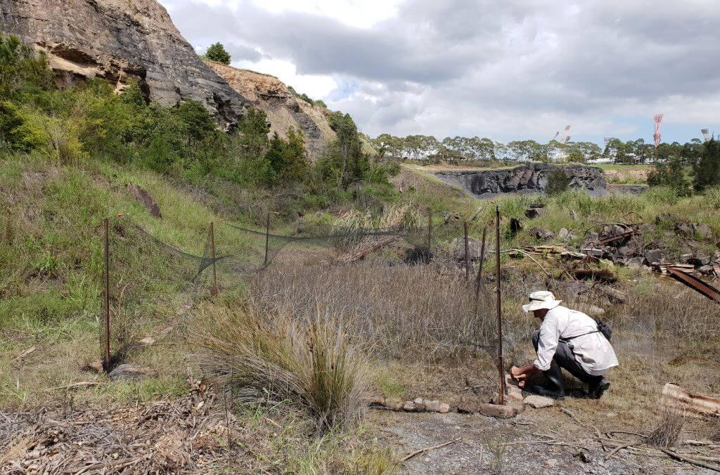 Worker working in wetlands